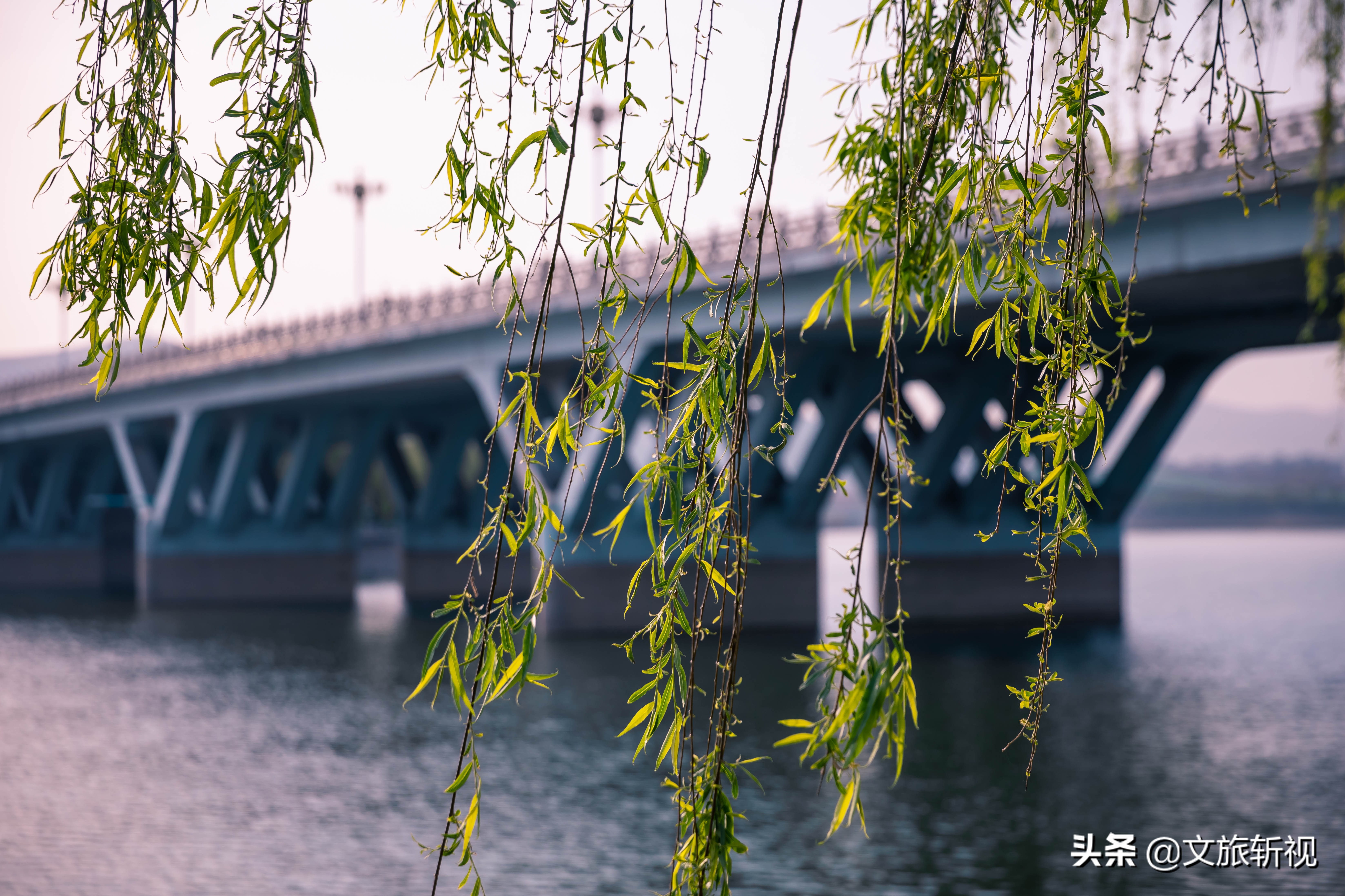 长清地铁规划最新消息,长清地铁最新规划图