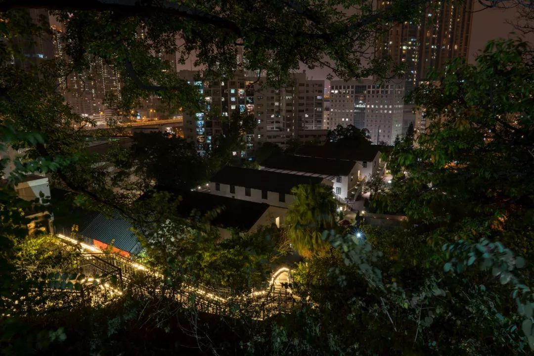 索尼fe24-105mmf4goss价格,索尼fe24-105mmf4能在尼康上用吗