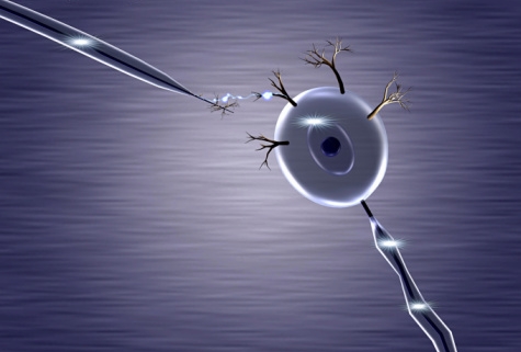 第029篇：生命宇宙的真相（实相）-2