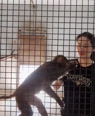 叶璇回应结婚了吗,叶璇公开怀孕喜事