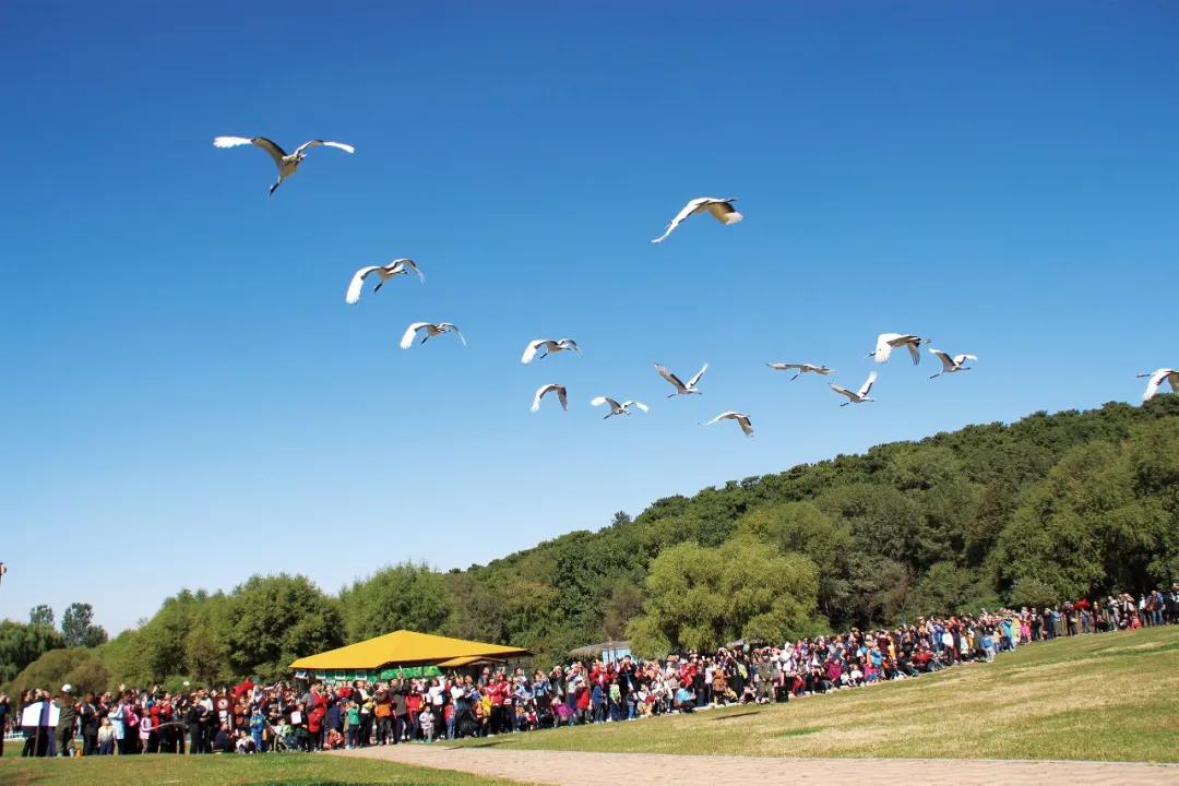 取消登山收费，还有更多改变！漂亮，棋盘山
