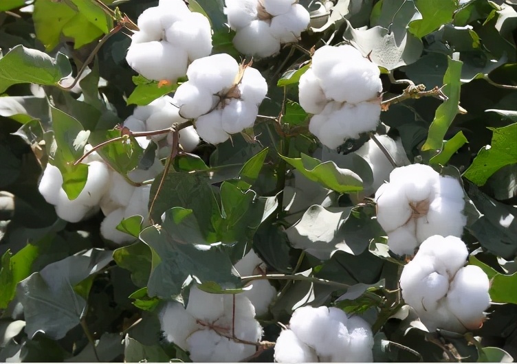 老年人皮肤痒最快的解决办法,皮肤痒的原因及解决方法