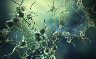 面神经炎最快的恢复办法,面神经炎的症状