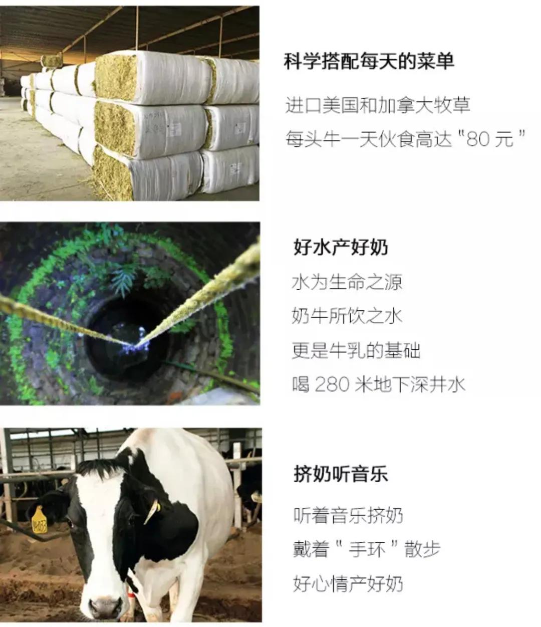 家庭元气满满的简单的早餐,元气满满早餐食谱大全