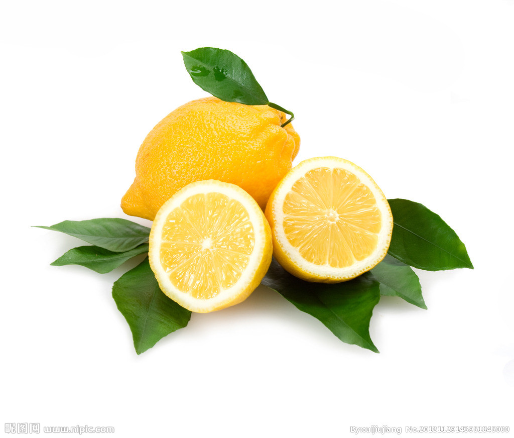 娃娃鱼的活动方法,娃娃鱼小知识