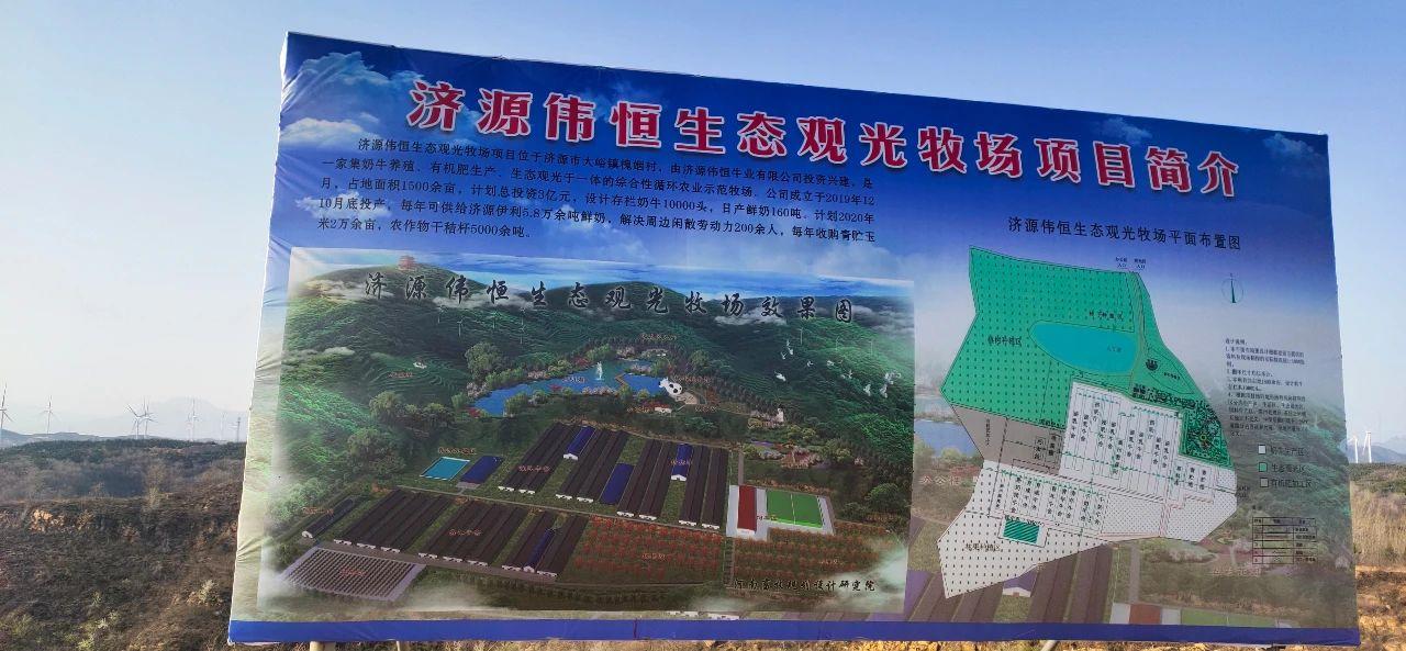 牛人圈里有一个“鲁大师”——访河南惠龙牧业股份有限公司总经理鲁志民