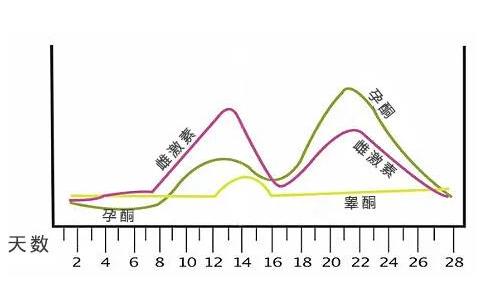 “xiong大的女人，欲望都很”强，是真的吗？