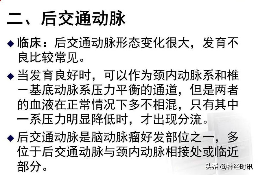 脑动脉解剖学讲解,脑膜中动脉解剖讲解