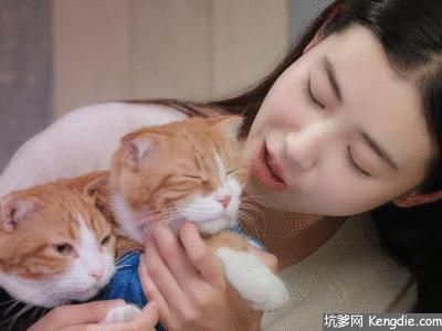 畅享一夏萌宠洗护,畅享宠物