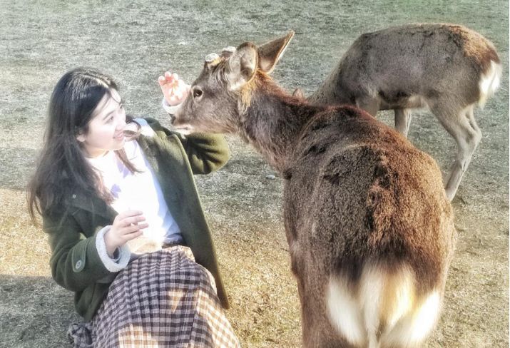 王思聪和李易峰关系有多好,王思聪和李易峰的区别