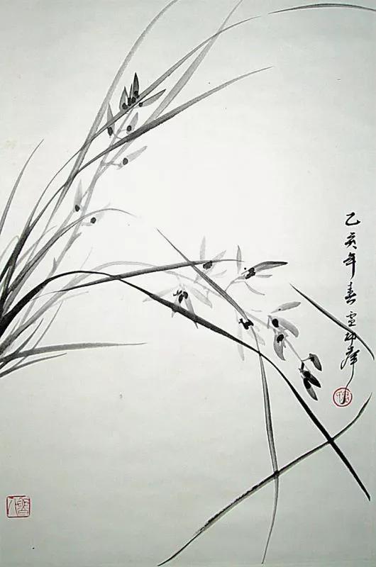 水墨怎么画兰花最好看,如何画兰花大全图片