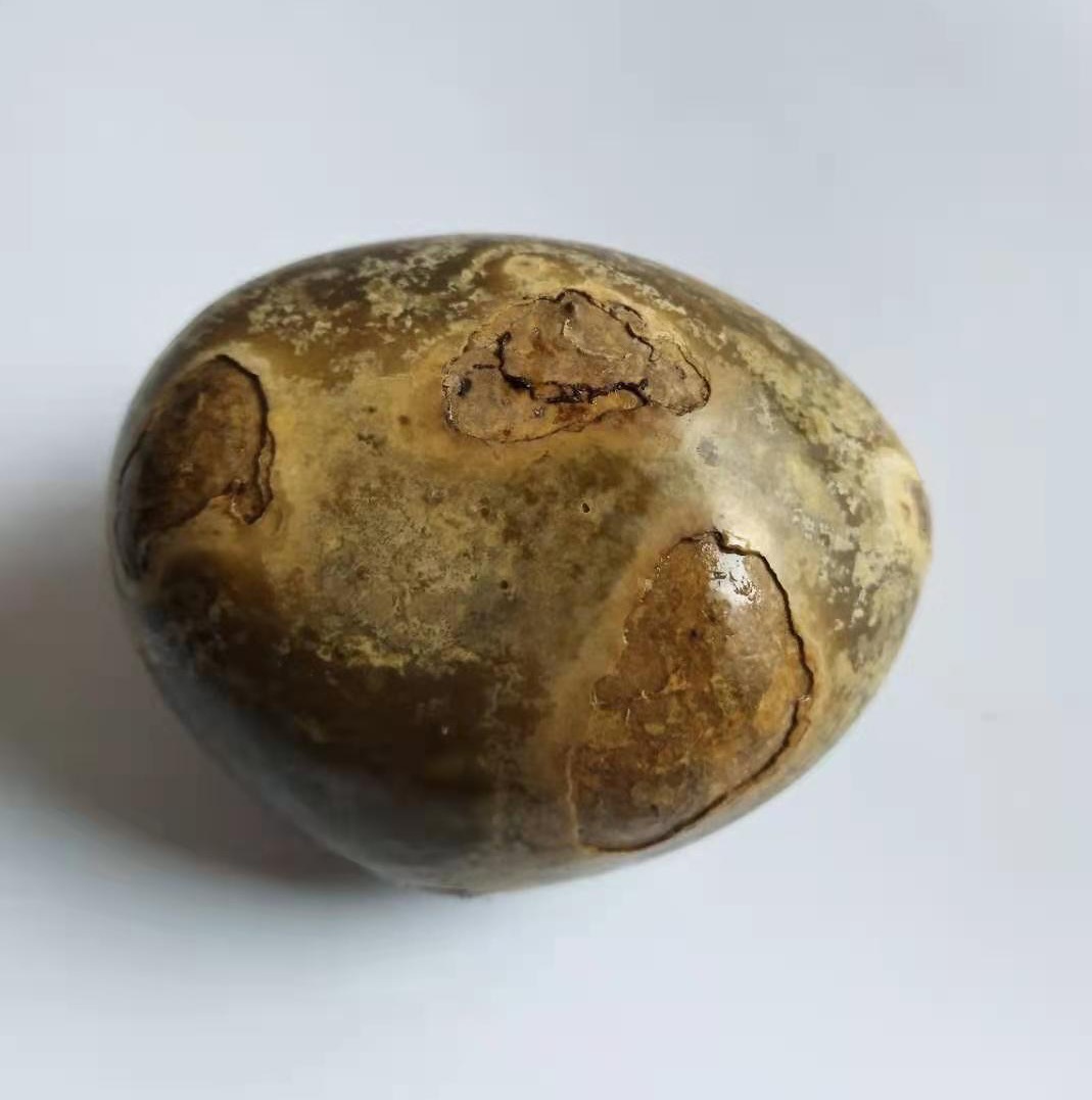 羊宝精品礼盒装,罕见精品羊宝图片