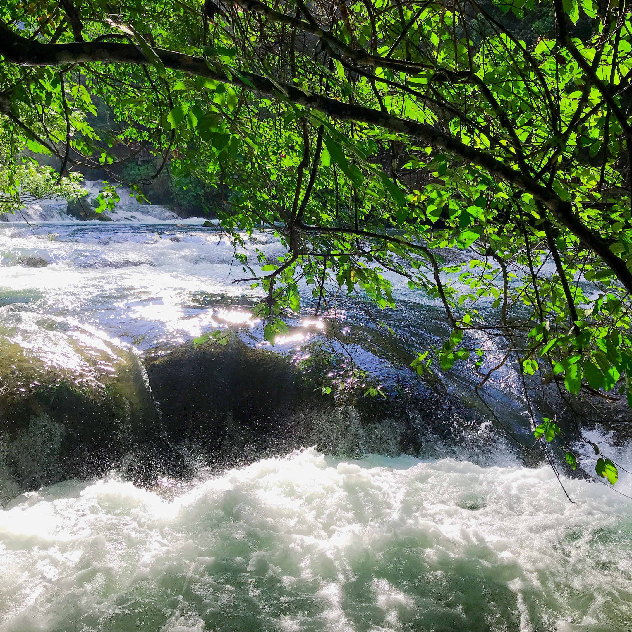 自驾游荔波小七孔旅游攻略,荔波小七孔游记600字