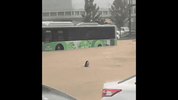 郑州的真实情况,河南郑州真实视频