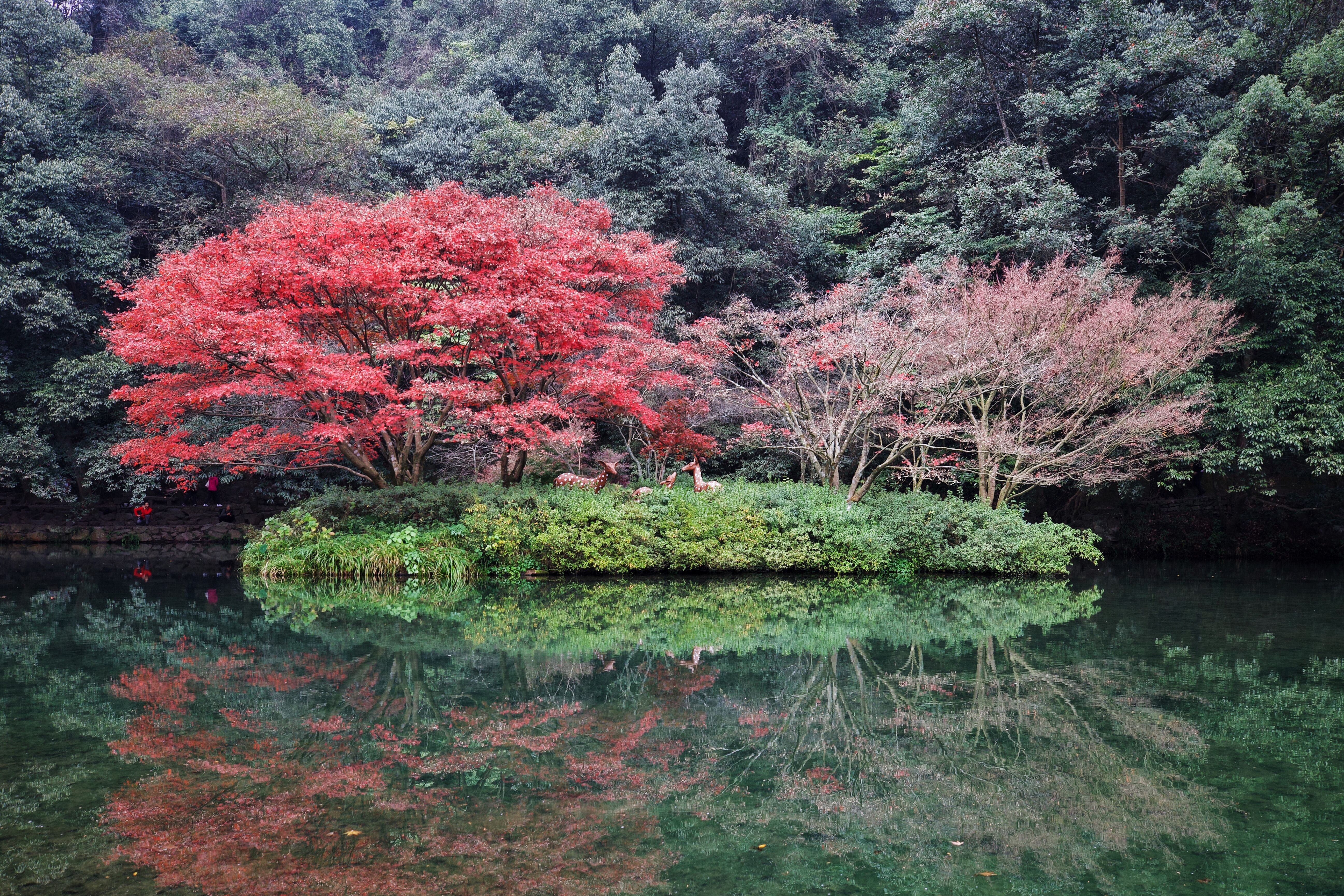 杭州九溪十八涧环境,杭州九溪十八涧四五月有什么风景