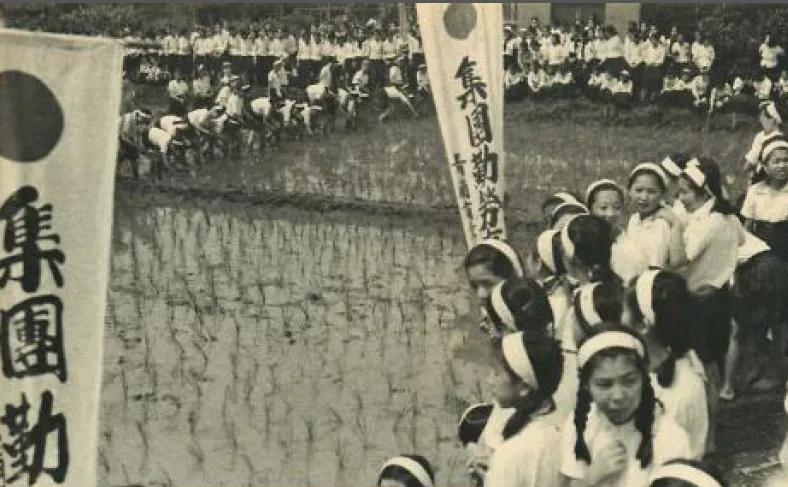 战火中的日本人有多惨？小学生都要当苦力