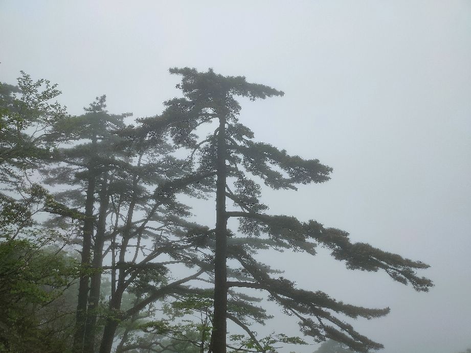 金寨县天堂寨风景区白马大峡谷,金寨县天堂寨风景区雪景