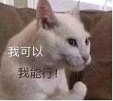 不会颤音可以学意大利语,不会弹舌怎么学意大利语