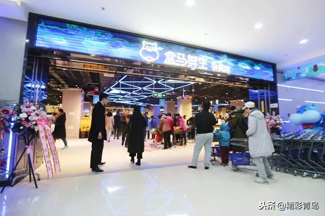 青岛盒马鲜生卓越皇后道店,青岛跑盒马鲜生怎么样
