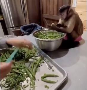 在网上买的盲盒靠谱吗,别盲目买盲盒