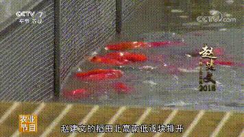 中国用了占世界多少的耕地,我国用占世界百分之几的耕地