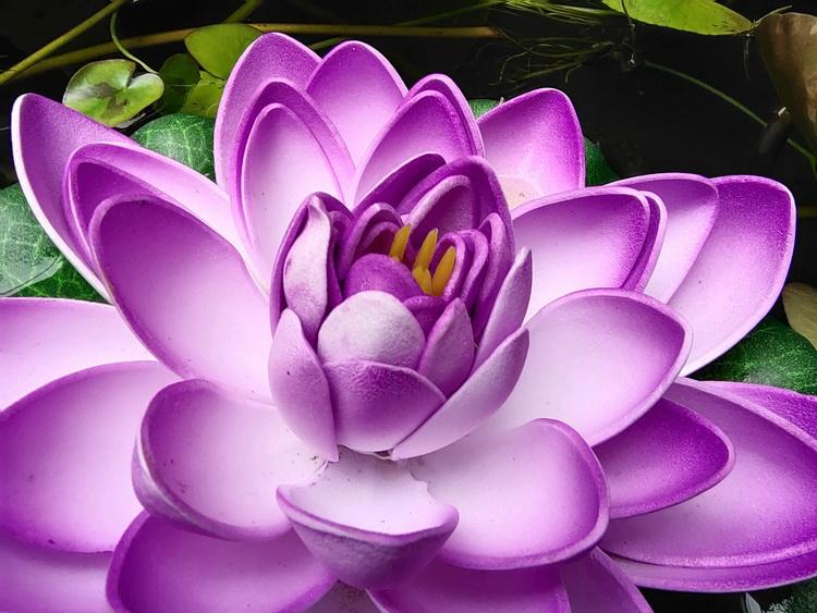 vivox50pro有没有光学防抖,vivox50pro60倍变焦防抖