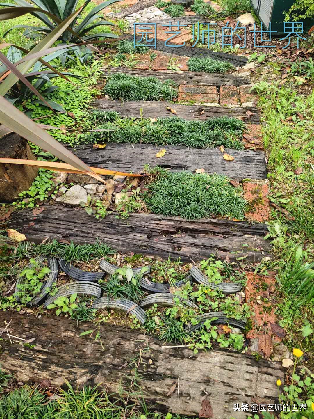 花园科学实验,花园案例及解析