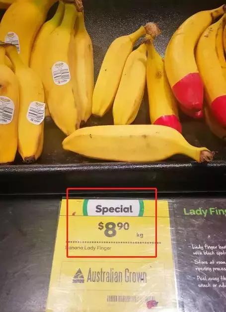 澳洲大龙虾奢华大餐,澳洲大龙虾海鲜大餐