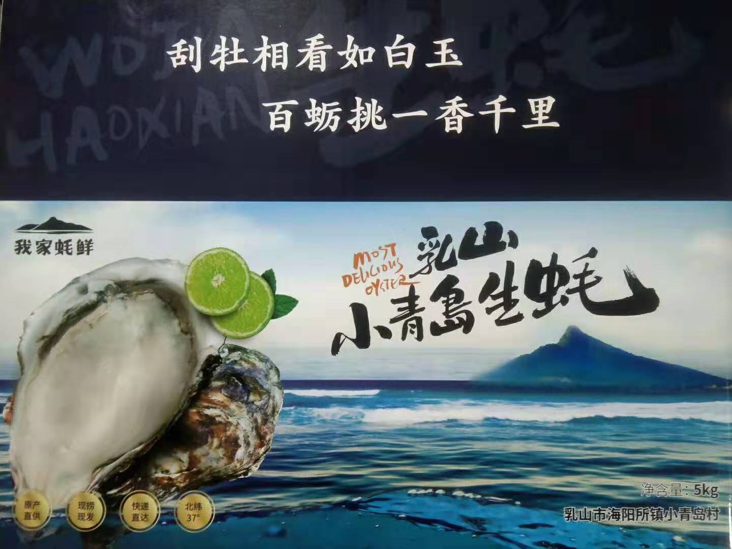 乳山牡蛎怎么做好吃,乳山牡蛎做汤怎么做最好喝