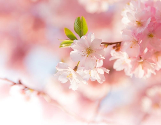 如何夸人彩虹屁显得高级,如何吹彩虹屁夸人帅