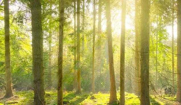 懂得自爱道德经,道德经自爱不自贵全文