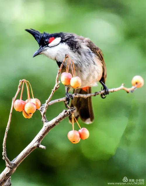 你认识吗丁啉,你认识吗