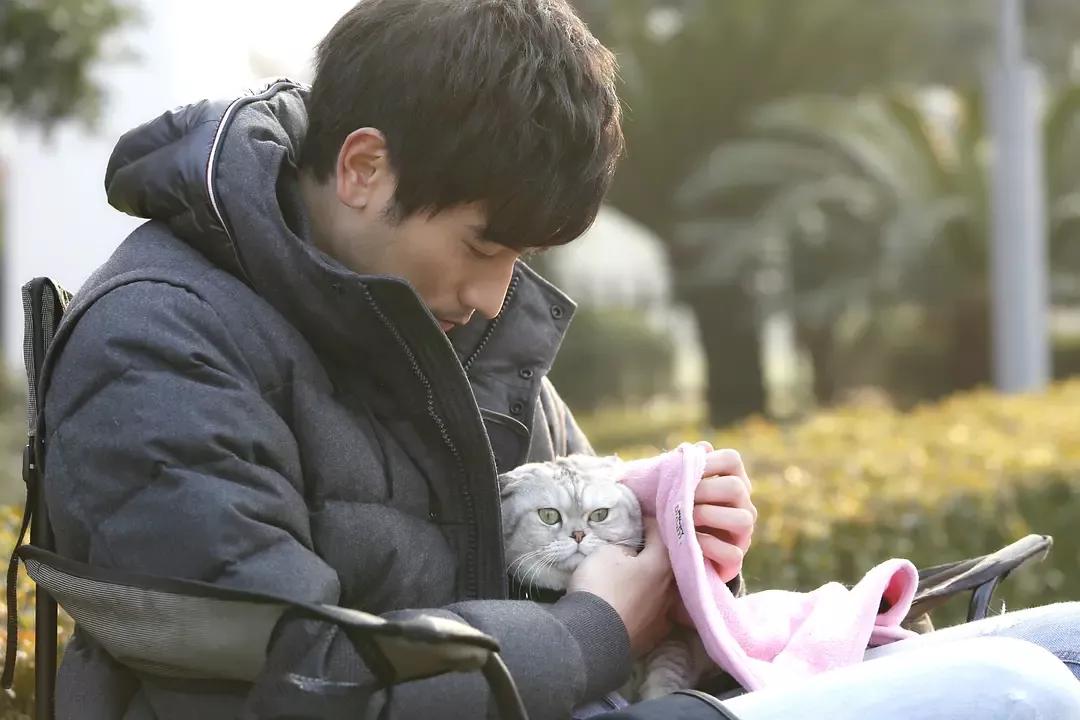 沈佳宜我很喜欢你完整版,初恋沈佳宜完整版