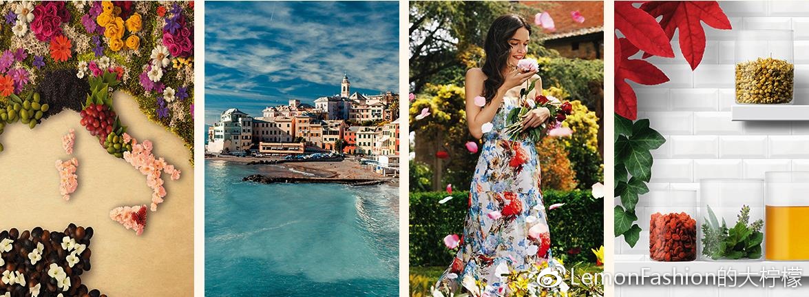 bottegaverde天猫,bottegaveneta上海佛罗伦萨