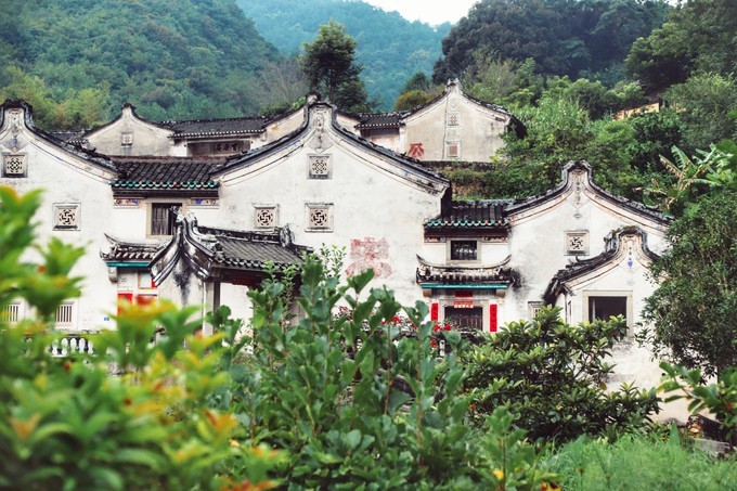 梅州采茶,梅州采茶体验