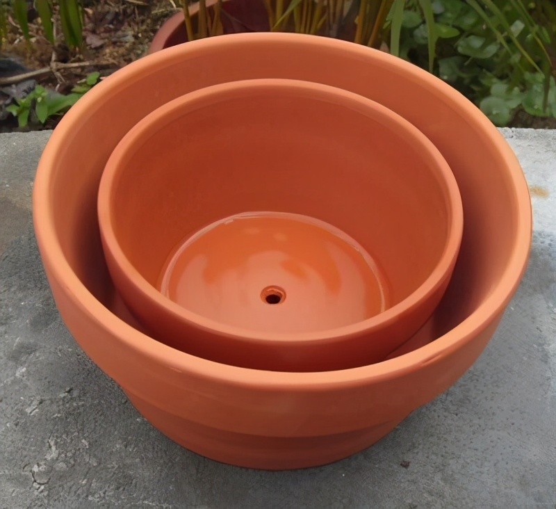 红陶盆脏了怎么洗,红陶盆盐碱怎么清理