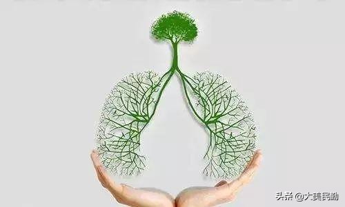 一文读懂达芬奇,一招判断肺结核