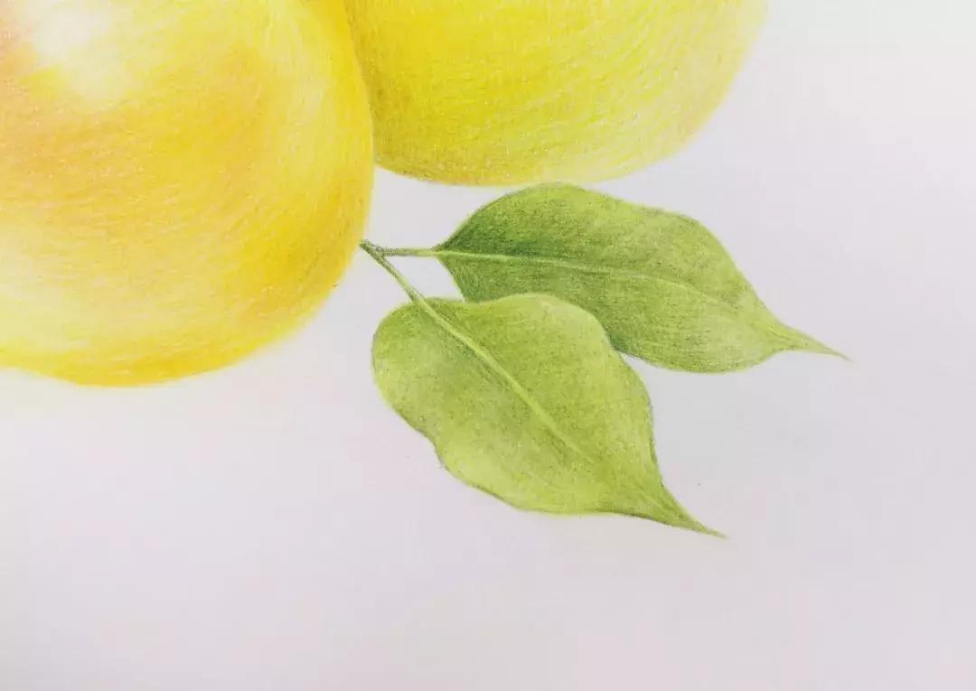 香梨彩铅画,彩铅肉肉的画法