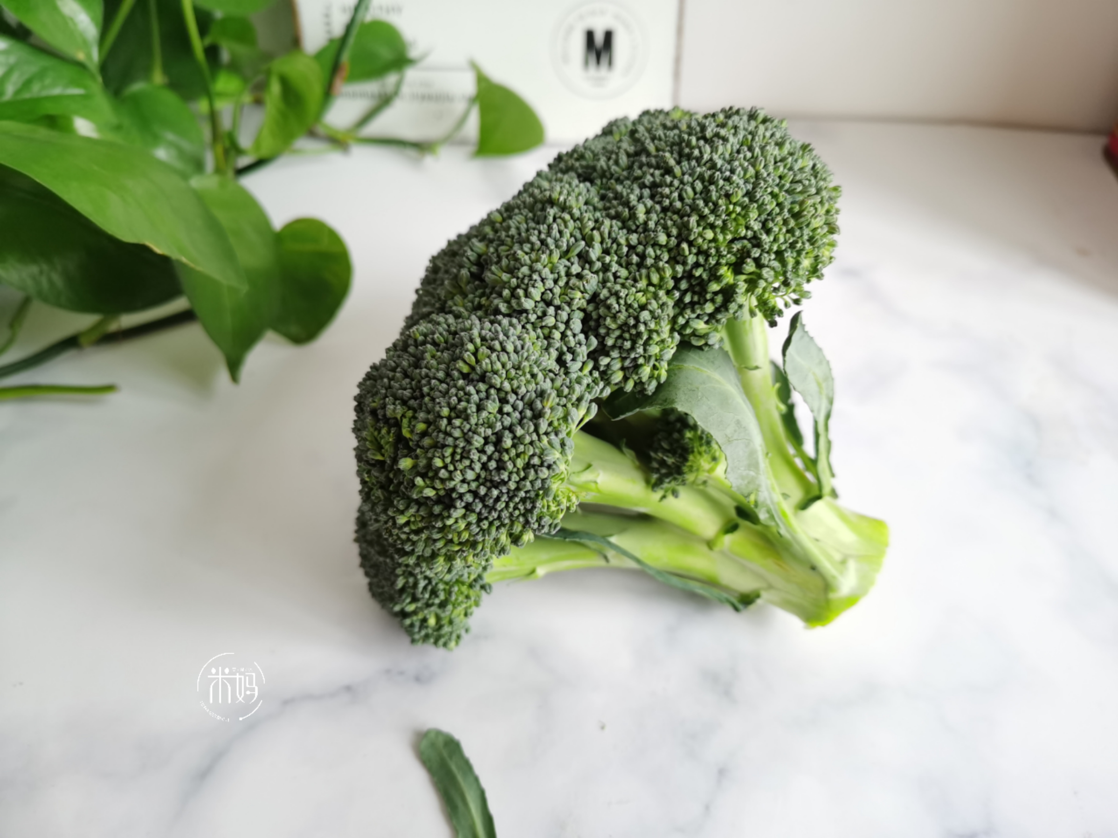 西兰花好脏怎么洗,西兰花怎么洗算干净