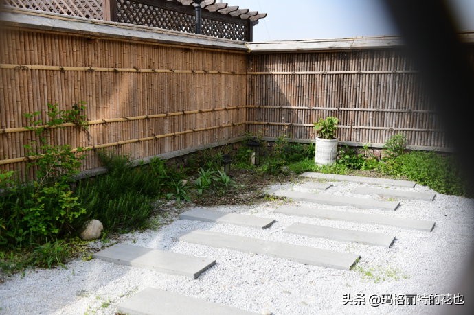 上海洋水仙,上海璞素上居民宿抖音团购