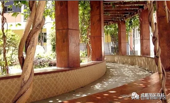 大源板块学校,大源片区最好的小学