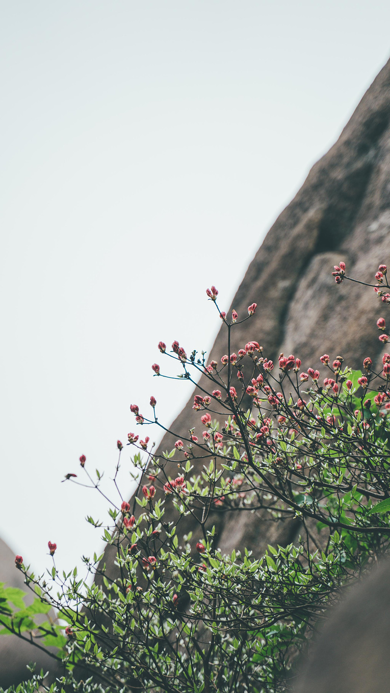 安徽天柱山有哪些好玩的景点推荐,安徽天柱山附近还有什么山