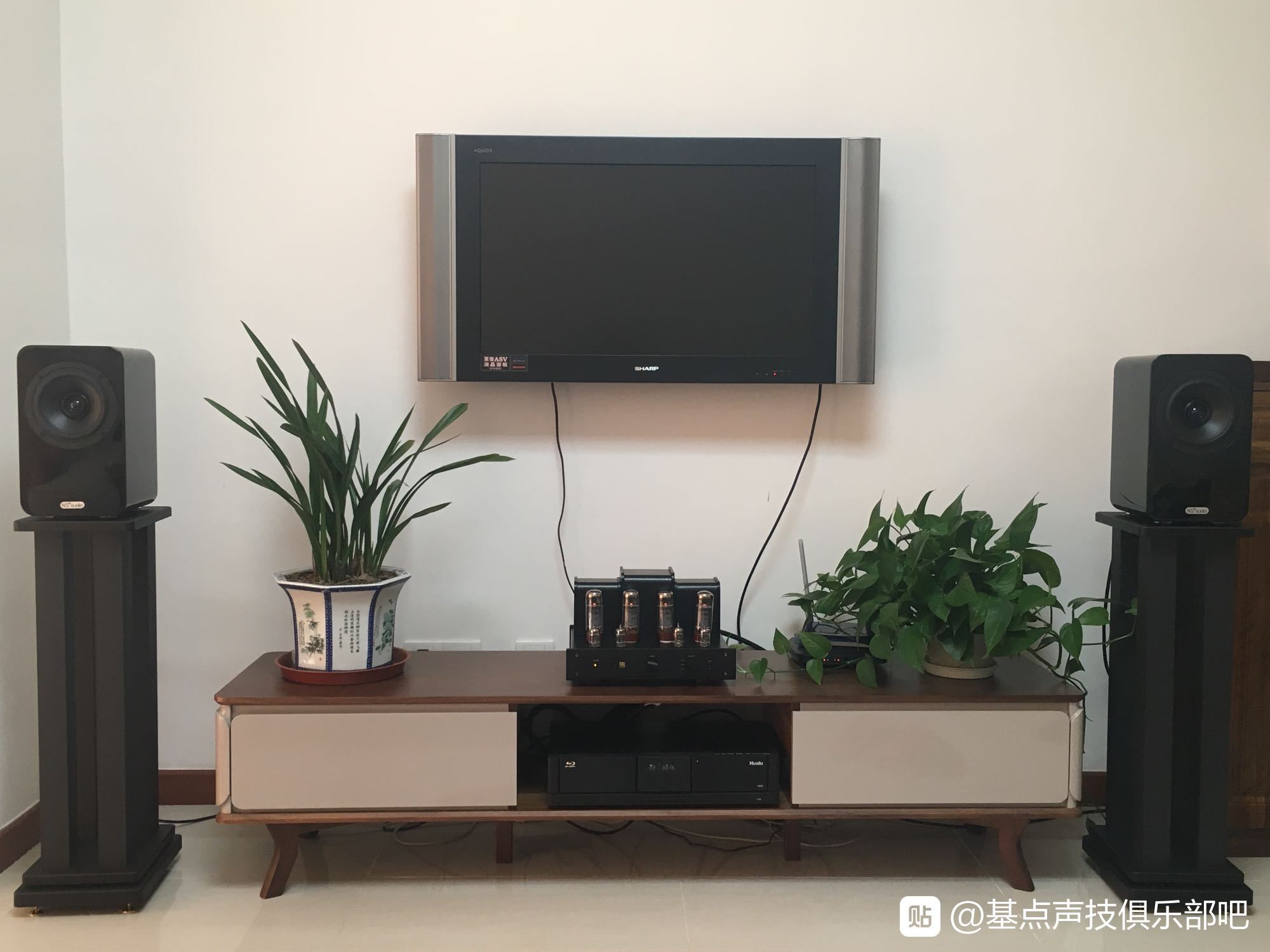 自然声ns19音箱试听,自然声ns17拆解