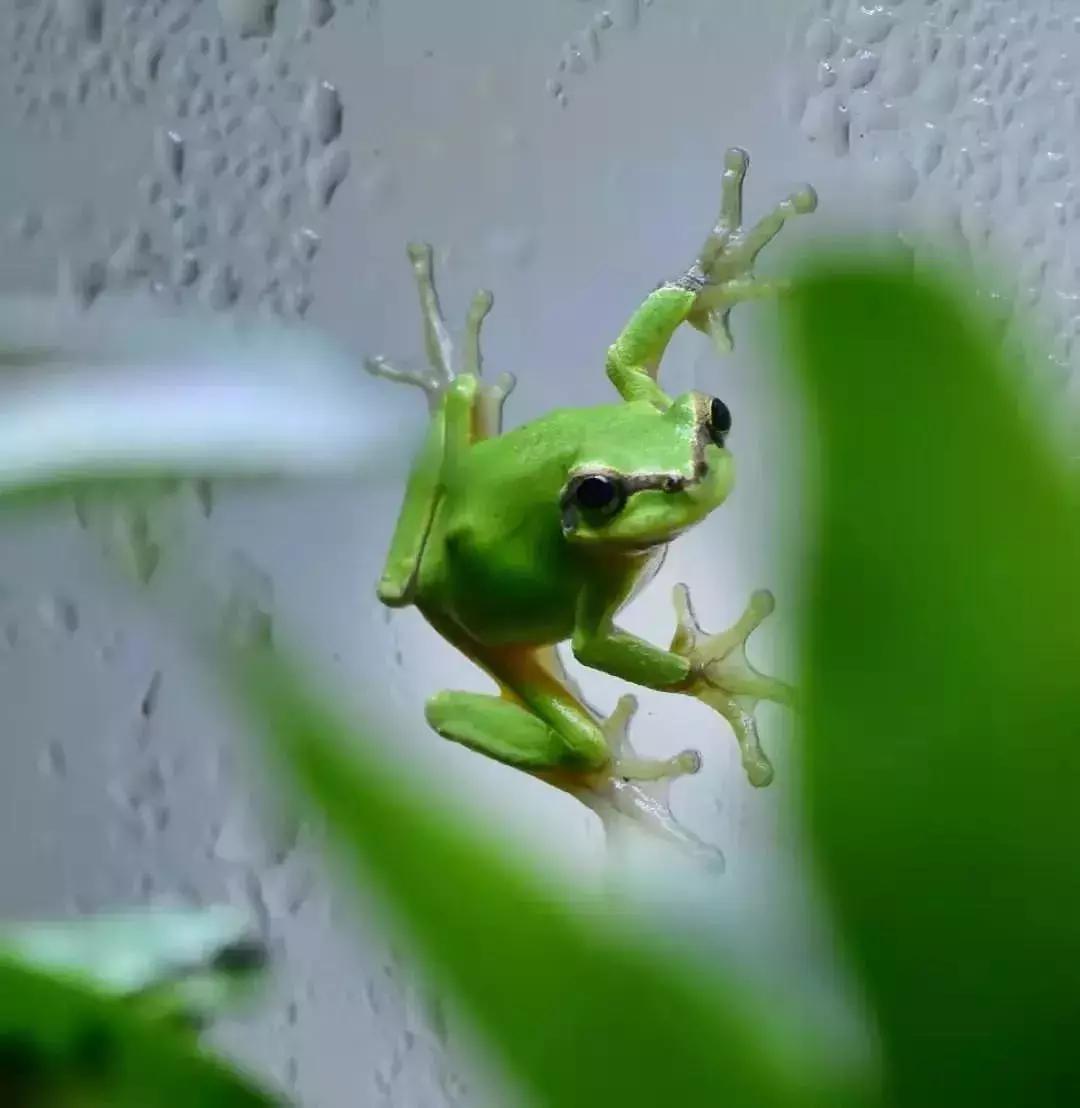 爆火广州溜娃圈的网红双展，宠粉价¥39.9买一送一！劲省二百多元