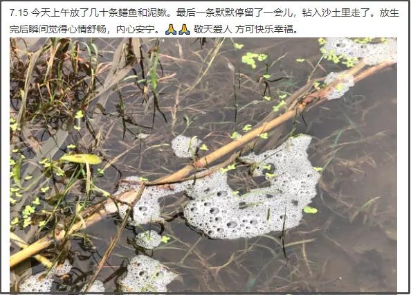 贴吧上的奇葩事,贴吧遇到各种奇葩事