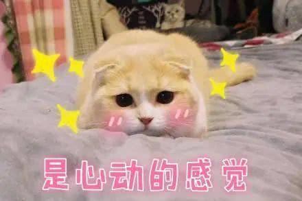 麦当劳最新招聘信息深圳,麦当劳店长招聘