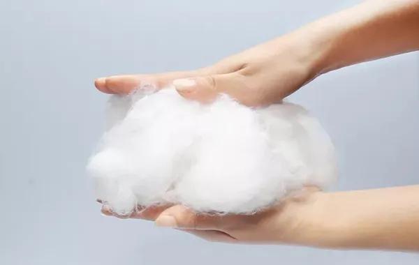 蝴蝶堂|维秘慕色:芯云感棉,追求舒适偏执者的梦