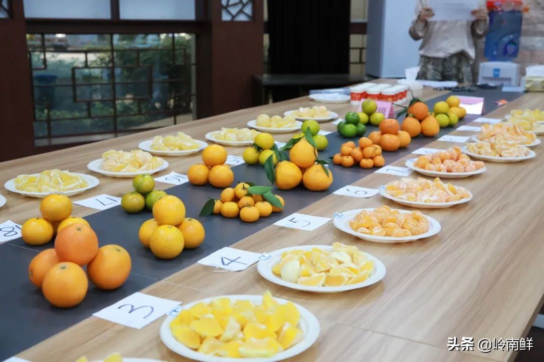 柑橘能吃出菠萝味？带你体验种植匠2020冬季柑橘橙测评