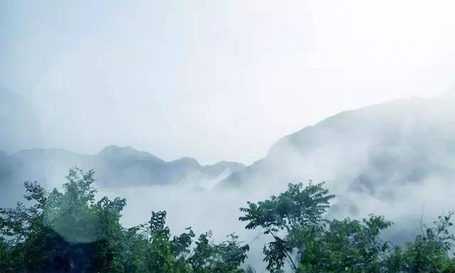 芳姐最后的下场,芳姐到底有没有死