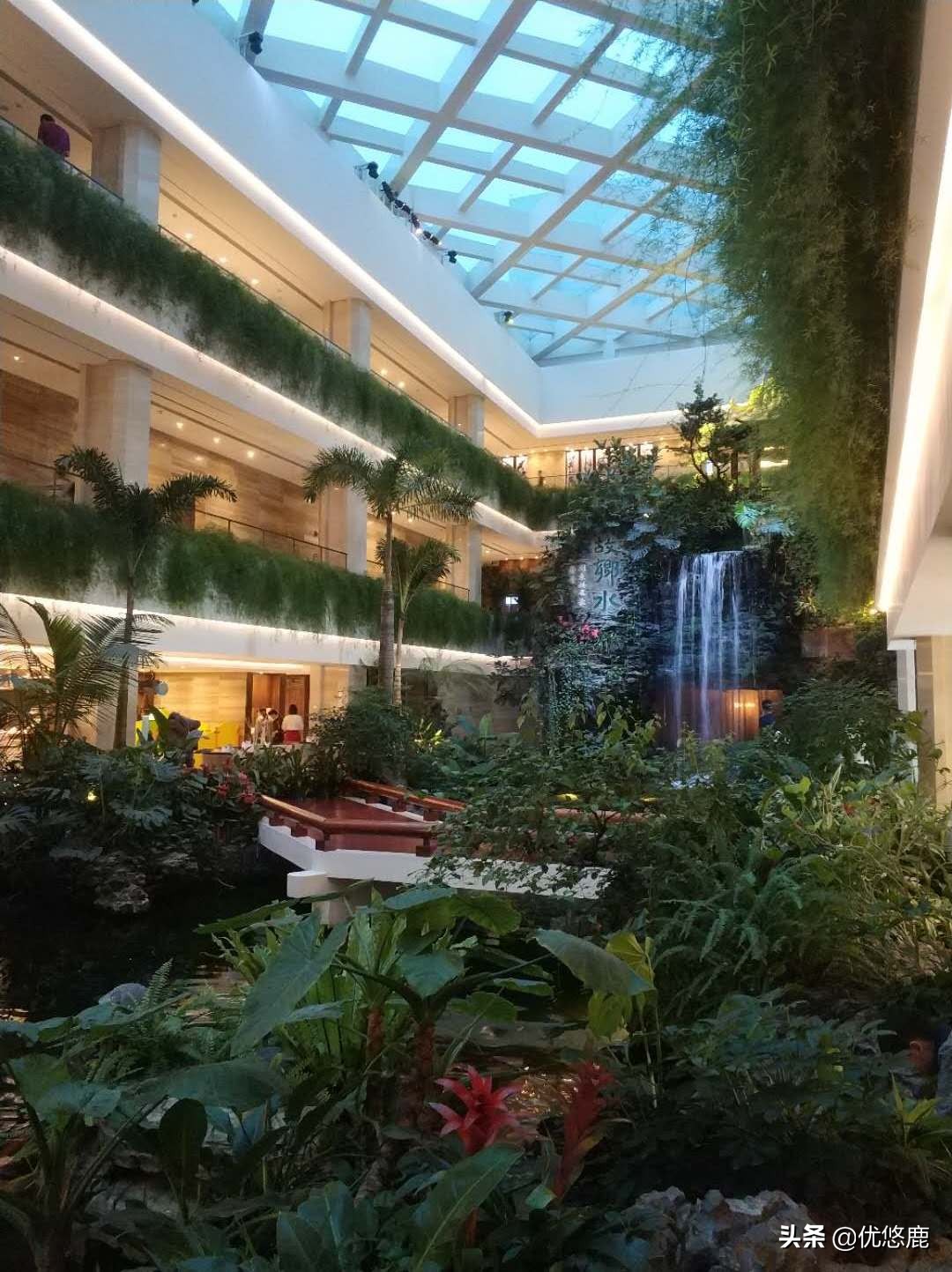 广州长隆野生动物园自驾大马戏,广州长隆野生动物园攻略马戏表演